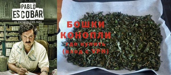 винт Гусь-Хрустальный