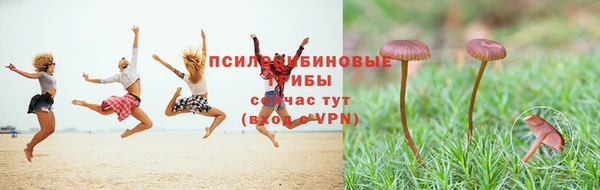 марки lsd Гусиноозёрск