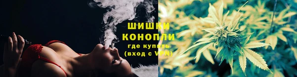 винт Гусь-Хрустальный
