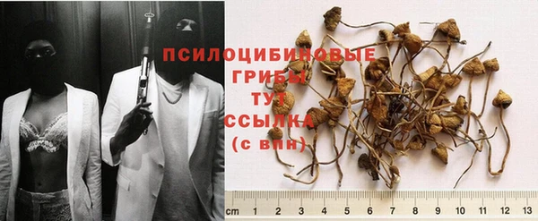 винт Гусь-Хрустальный